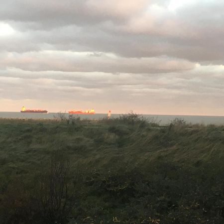 Zeewaarts In Cadzand-Bad المظهر الخارجي الصورة